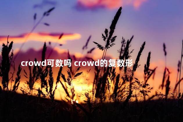 crowd可数吗 crowd的复数形式